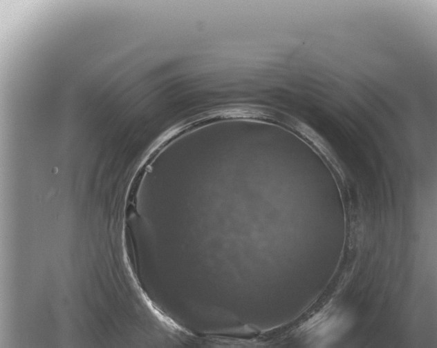 X0000081470853200701191804