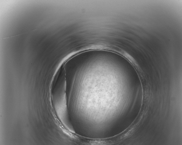 X0000081470854200701191804