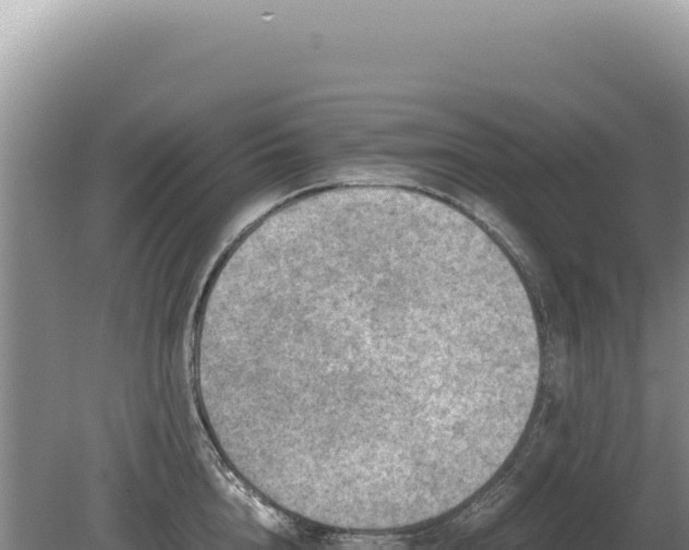 X0000081470856200701191804