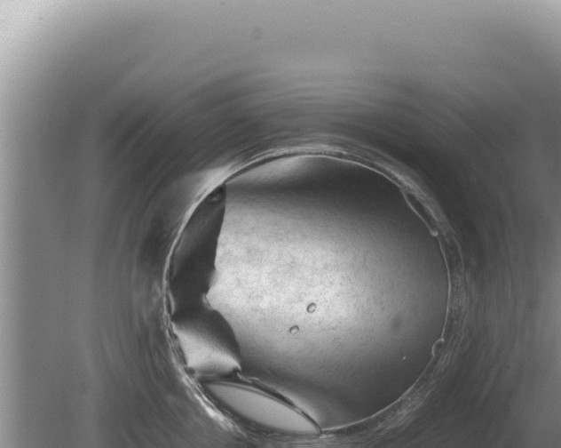 X0000081470858200701191804