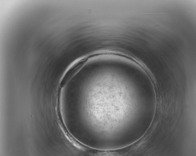 X0000081470862200701191804