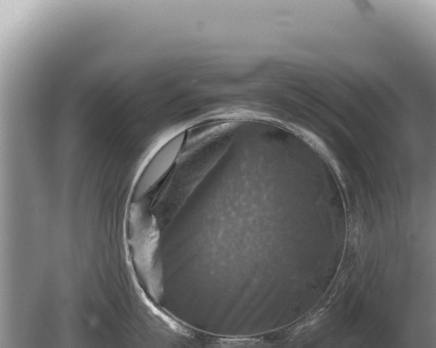 X0000081470863200701191804