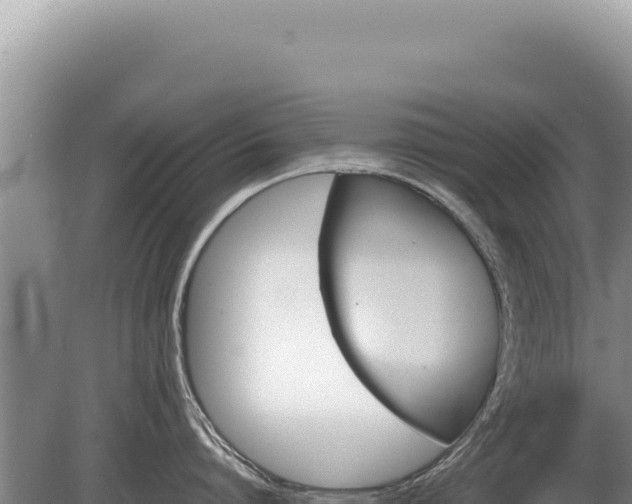 X0000081470864200701191804