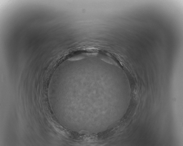 X0000081470865200701191803