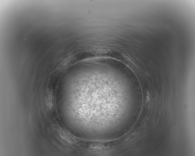 X0000081470866200701191803