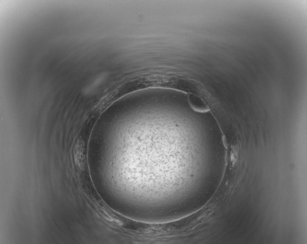 X0000081470867200701191803