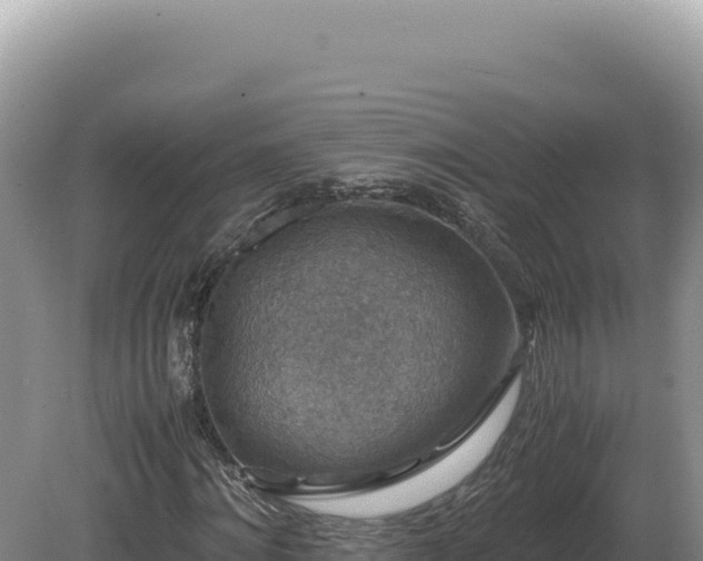 X0000081470868200701191803