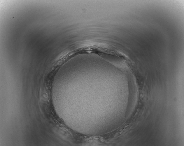 X0000081470869200701191803