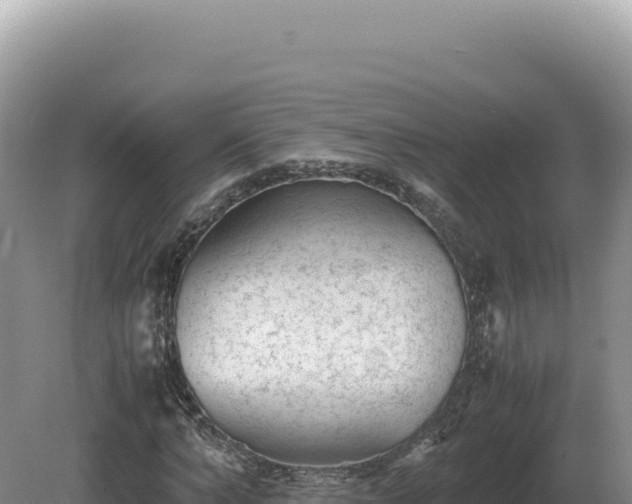 X0000081470870200701191803