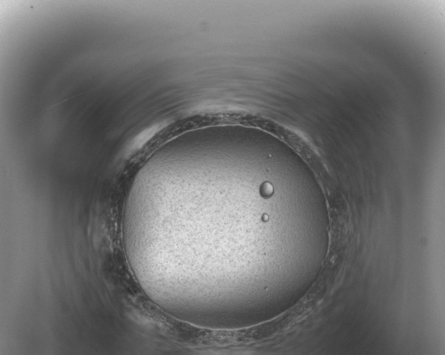 X0000081470871200701191803