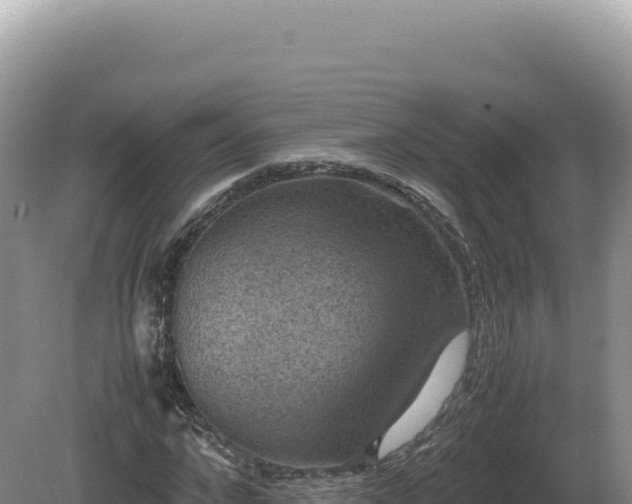 X0000081470872200701191803