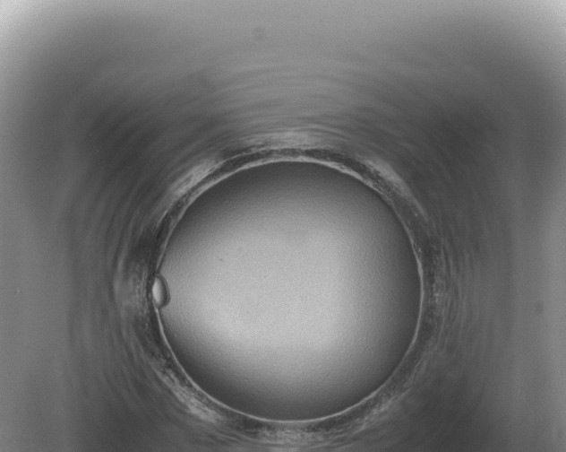 X0000081470873200701191803