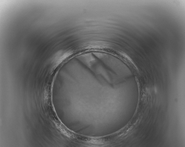 X0000081470874200701191803