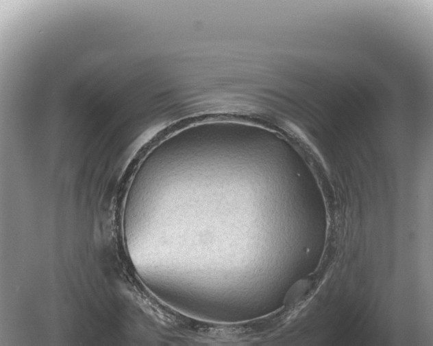 X0000081470875200701191803