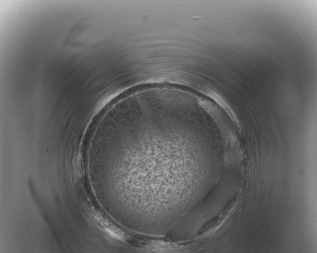 X0000081470876200701191803