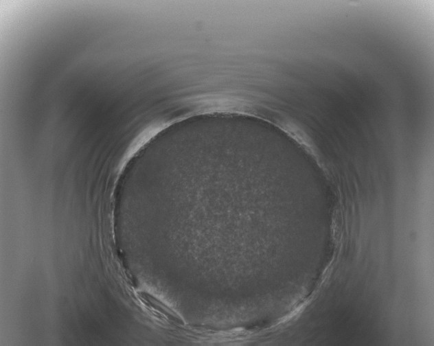 X0000081470877200701191803