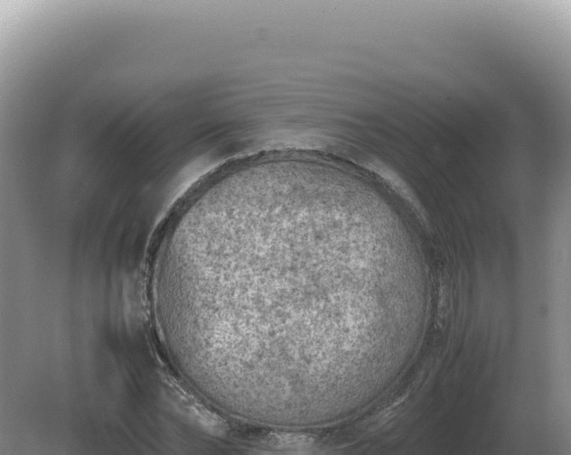 X0000081470878200701191803