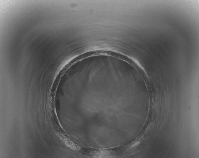 X0000081470879200701191803