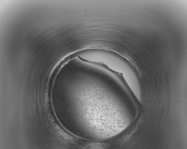 X0000081470880200701191803