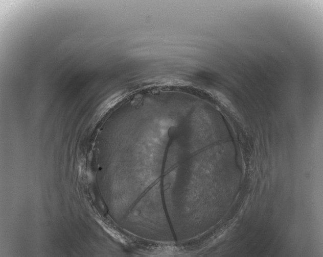 X0000081470881200701191803