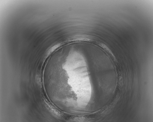 X0000081470882200701191803