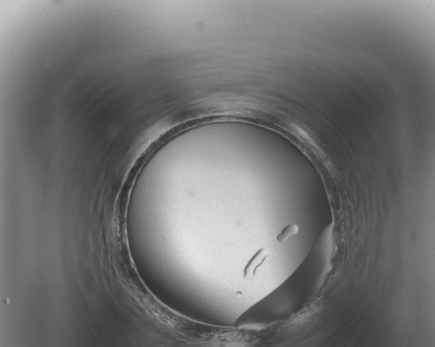 X0000081470883200701191803