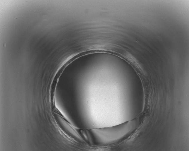 X0000081470884200701191803