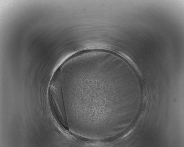 X0000081470885200701191803