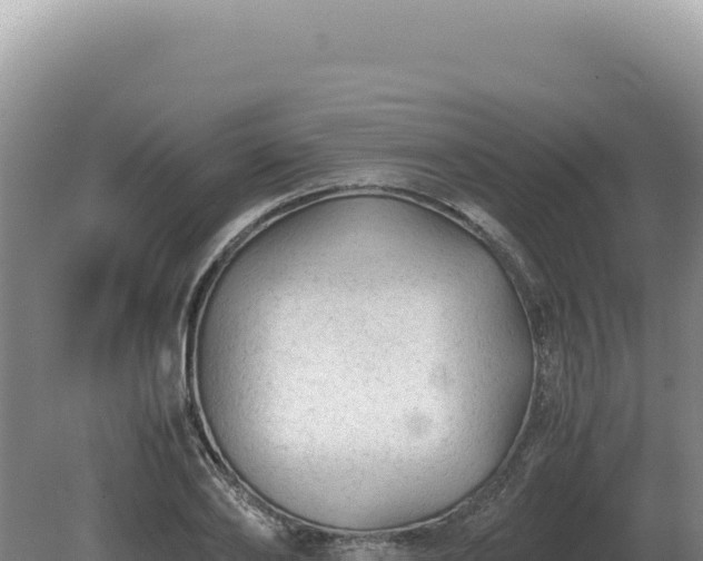 X0000081470886200701191803