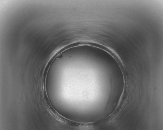 X0000081470887200701191803