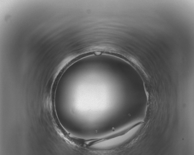 X0000081470888200701191803