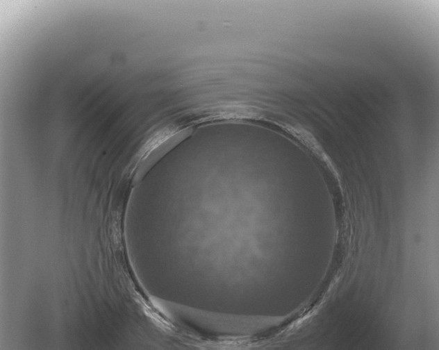 X0000081470889200701191803