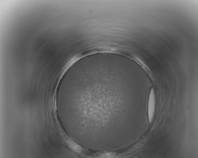 X0000081470891200701191803