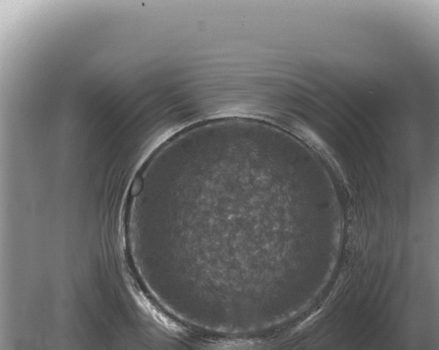 X0000081470892200701191803