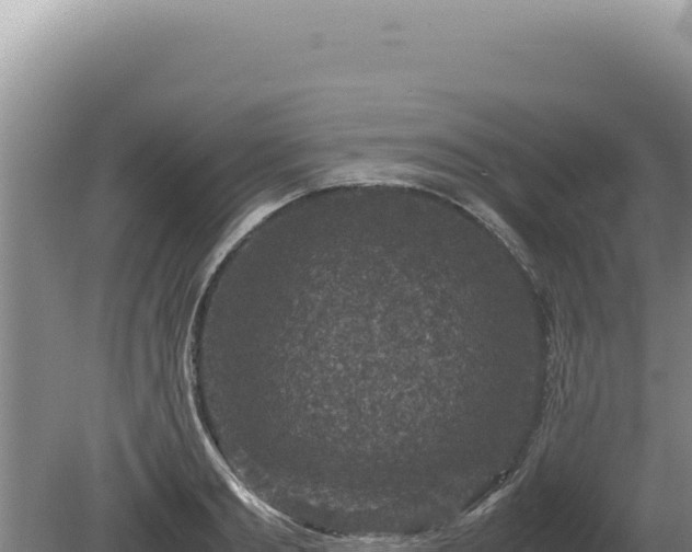 X0000081470893200701191803