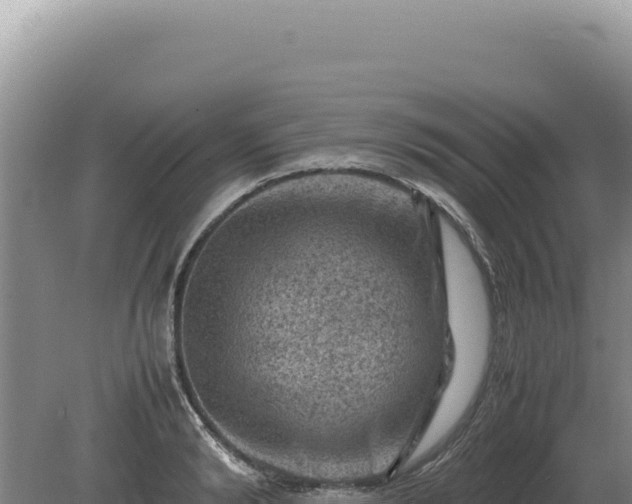 X0000081470894200701191803