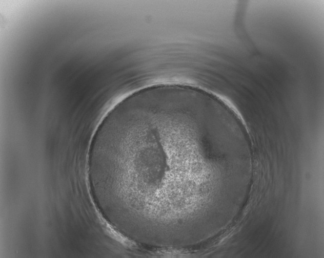 X0000081470895200701191803