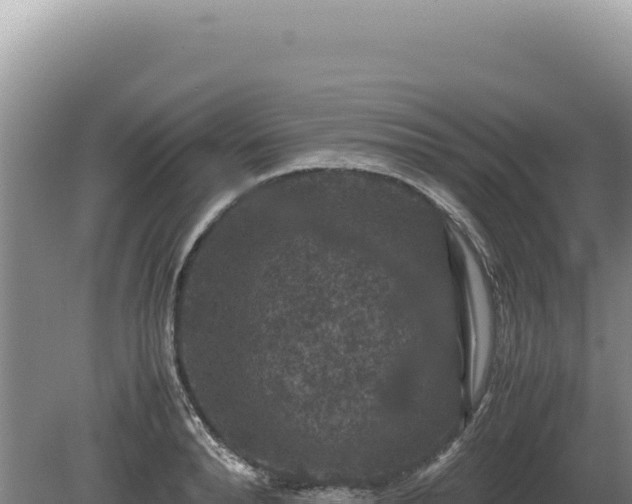 X0000081470896200701191803