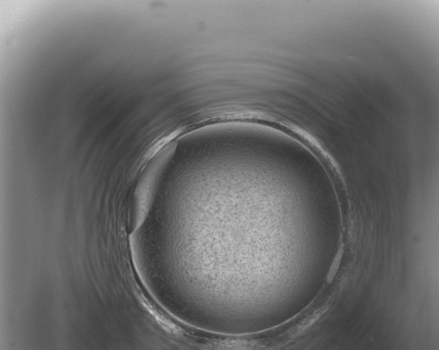 X0000081470897200701191803