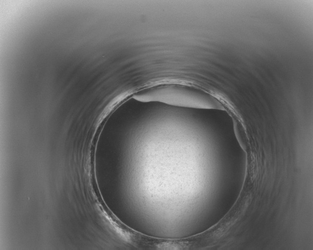 X0000081470898200701191803