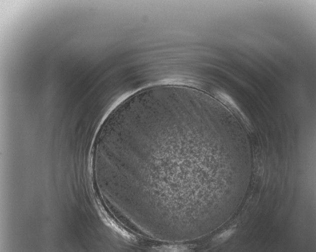 X0000081470900200701191803