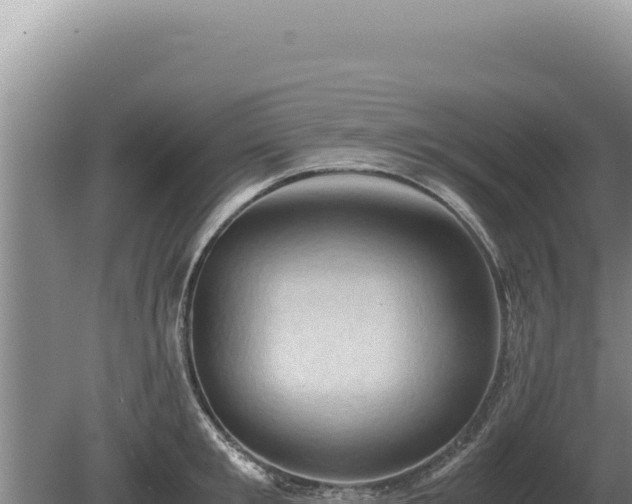 X0000081470901200701191803