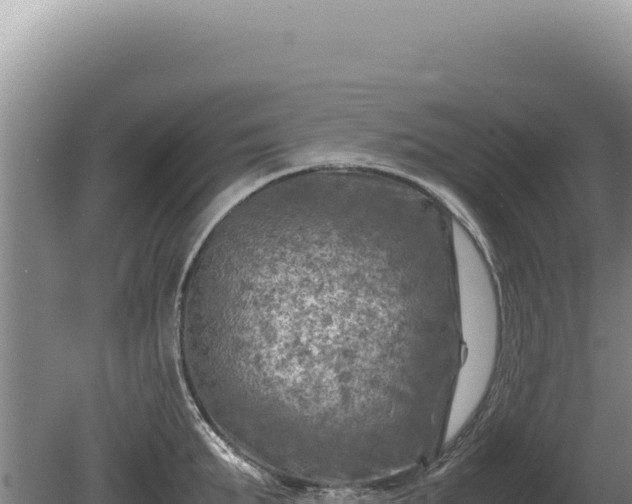 X0000081470903200701191802