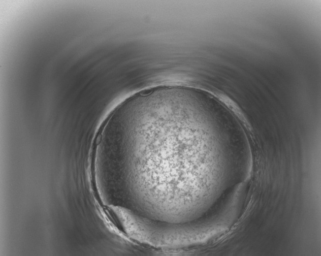 X0000081470904200701191802