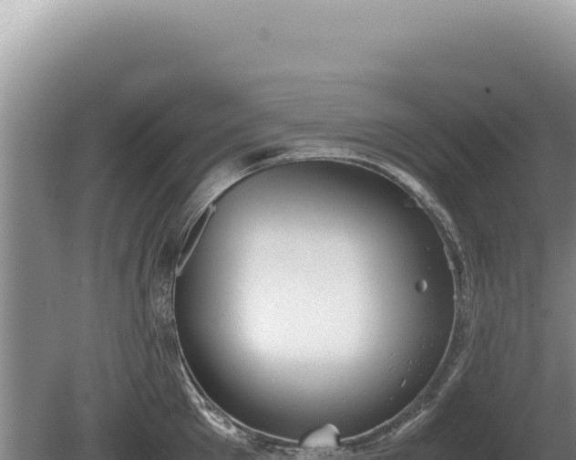 X0000081470905200701191802