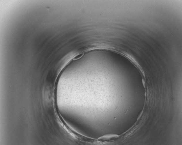 X0000081470906200701191802