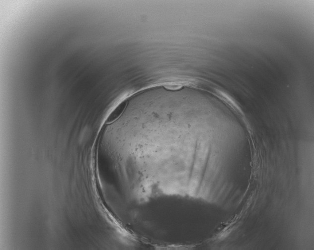 X0000081470907200701191802