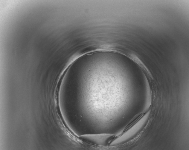 X0000081470908200701191802