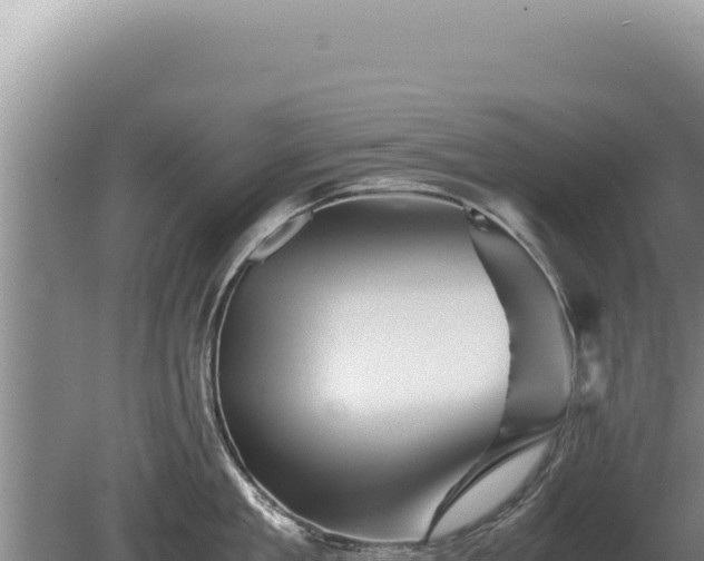 X0000081470909200701191802