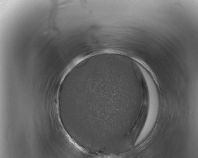 X0000081470910200701191802